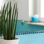Hotel apartamentowy Mavip